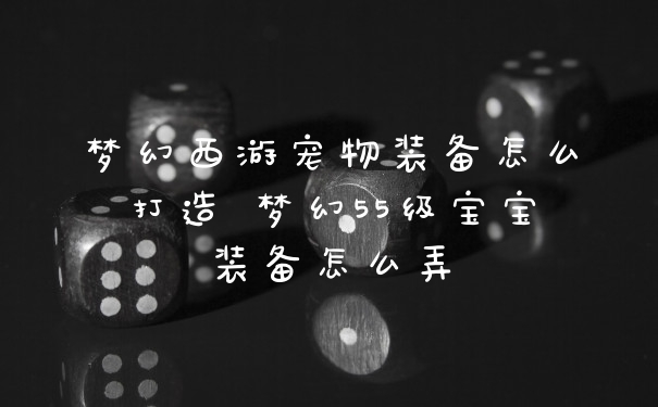 梦幻西游宠物装备怎么打造 梦幻55级宝宝装备怎么弄