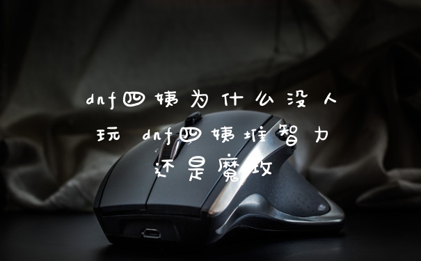 dnf四姨为什么没人玩 dnf四姨堆智力还是魔攻