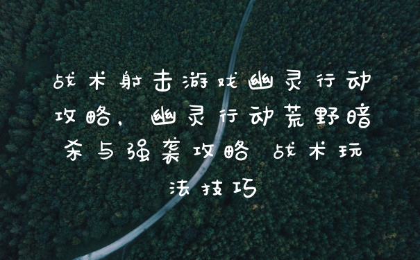 战术射击游戏幽灵行动攻略，幽灵行动荒野暗杀与强袭攻略 战术玩法技巧