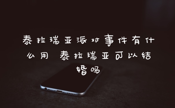 泰拉瑞亚派对事件有什么用 泰拉瑞亚可以结婚吗