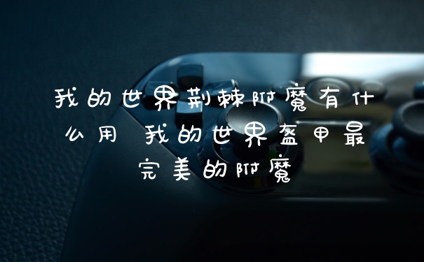我的世界荆棘附魔有什么用 我的世界盔甲最完美的附魔