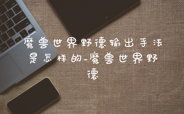魔兽世界野德输出手法是怎样的_魔兽世界野德