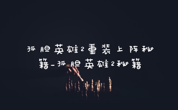孤胆英雄2重装上阵秘籍_孤胆英雄2秘籍