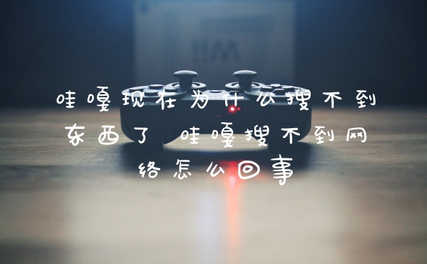 哇嘎现在为什么搜不到东西了 哇嘎搜不到网络怎么回事