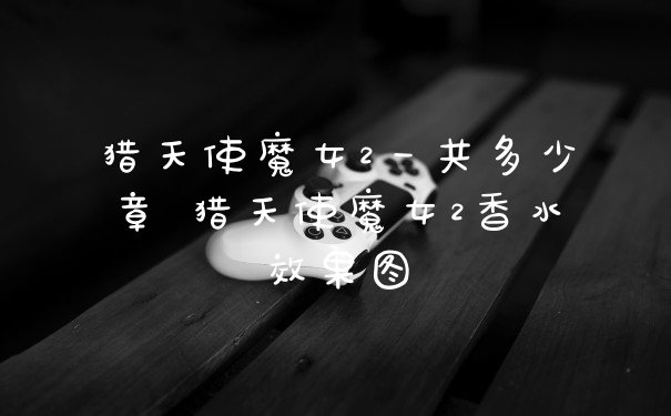 猎天使魔女2一共多少章 猎天使魔女2香水效果图