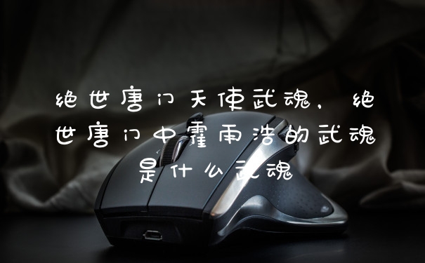 绝世唐门天使武魂，绝世唐门中霍雨浩的武魂是什么武魂