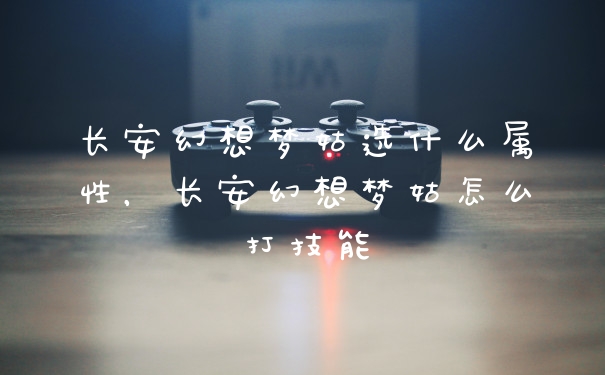 长安幻想梦姑选什么属性，长安幻想梦姑怎么打技能