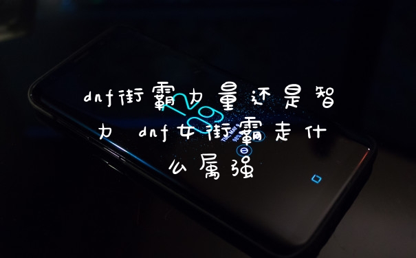 dnf街霸力量还是智力 dnf女街霸走什么属强