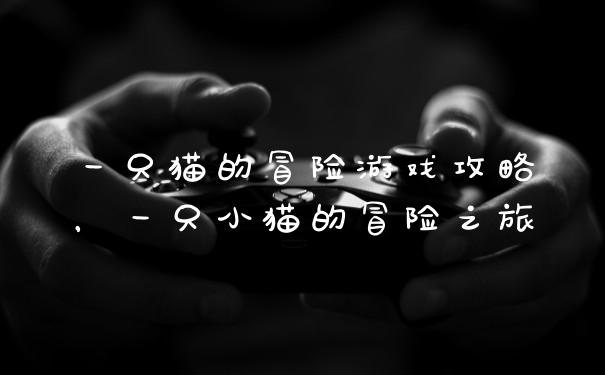 一只猫的冒险游戏攻略，一只小猫的冒险之旅