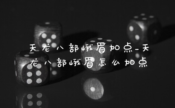 天龙八部峨眉加点_天龙八部峨眉怎么加点