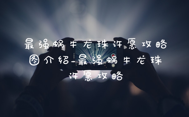 最强蜗牛龙珠许愿攻略图介绍_最强蜗牛龙珠许愿攻略