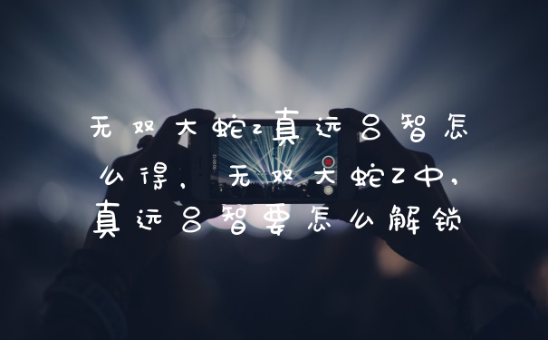 无双大蛇z真远吕智怎么得,无双大蛇Z中,真远吕智要怎么解锁