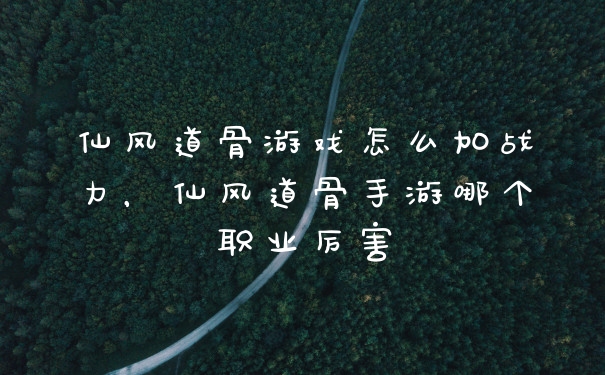 仙风道骨游戏怎么加战力,仙风道骨手游哪个职业厉害