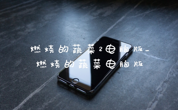 燃烧的蔬菜2电脑版_燃烧的蔬菜电脑版