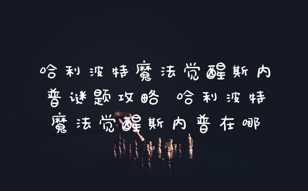 哈利波特魔法觉醒斯内普谜题攻略 哈利波特魔法觉醒斯内普在哪