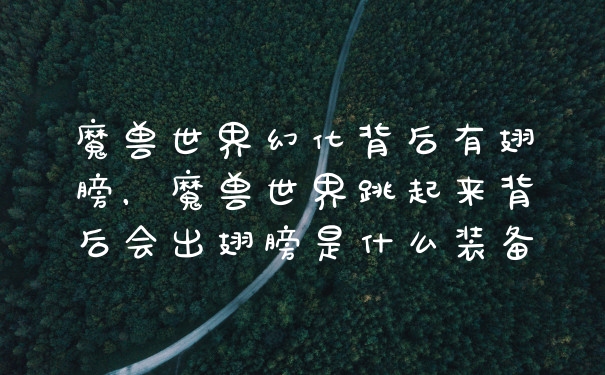 魔兽世界幻化背后有翅膀，魔兽世界跳起来背后会出翅膀是什么装备