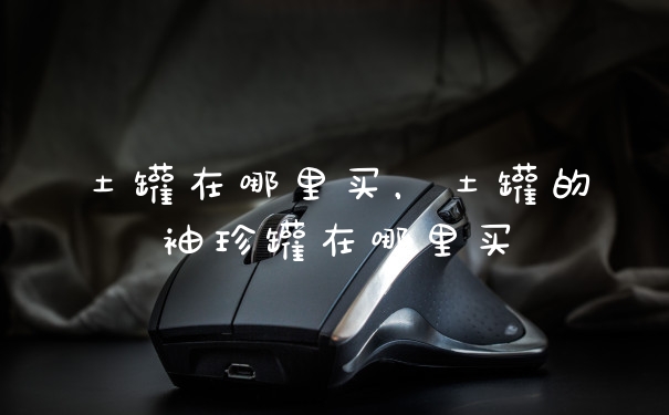 土罐在哪里买,土罐的袖珍罐在哪里买