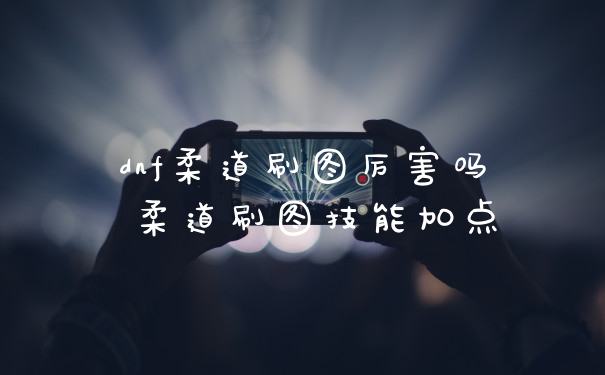 dnf柔道刷图厉害吗 柔道刷图技能加点