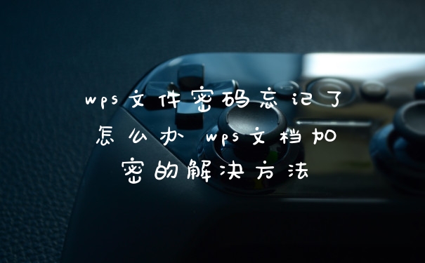 wps文件密码忘记了怎么办 wps文档加密的解决方法