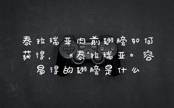 泰拉瑞亚肉前翅膀如何获得，《泰拉瑞亚》容易得的翅膀是什么