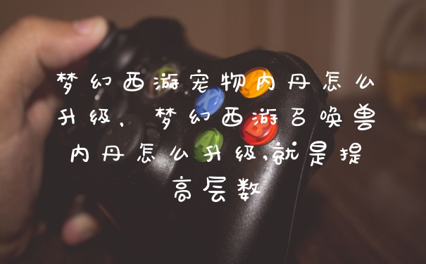 梦幻西游宠物内丹怎么升级，梦幻西游召唤兽内丹怎么升级,就是提高层数
