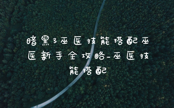 暗黑3巫医技能搭配巫医新手全攻略_巫医技能搭配