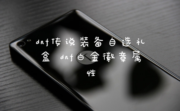 dnf传说装备自选礼盒 dnf白金徽章属性