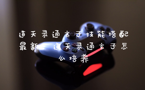 道天录通玄子技能搭配最新，道天录通玄子怎么培养