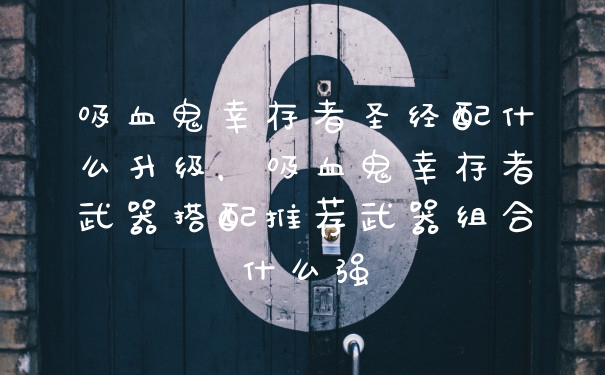 吸血鬼幸存者圣经配什么升级,吸血鬼幸存者武器搭配推荐武器组合什么强