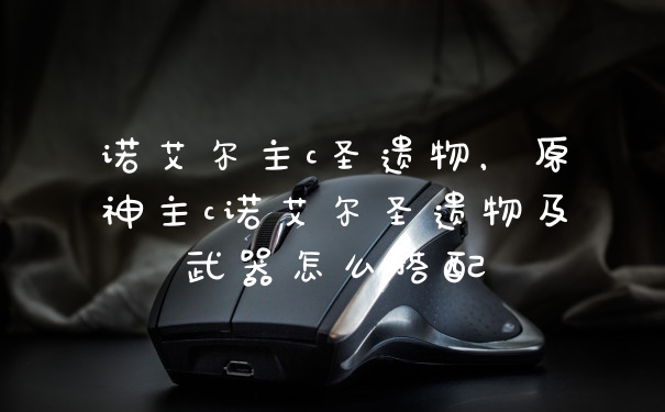诺艾尔主c圣遗物,原神主c诺艾尔圣遗物及武器怎么搭配