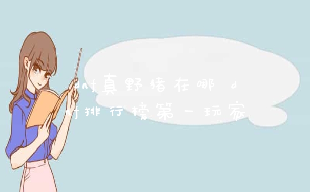 dnf真野猪在哪 dnf排行榜第一玩家