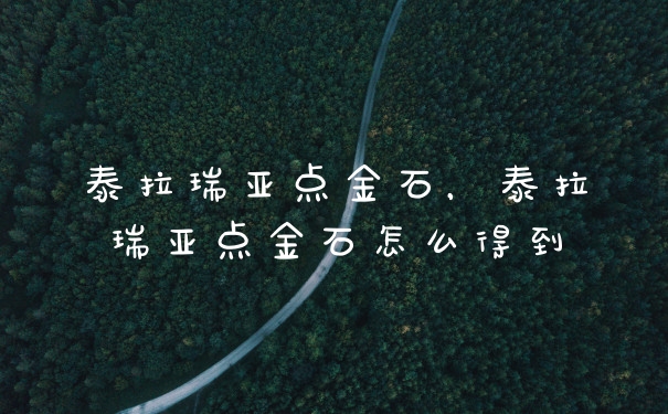 泰拉瑞亚点金石，泰拉瑞亚点金石怎么得到