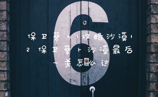 保卫萝卜1攻略沙漠12 保卫萝卜沙漠最后一关怎么过