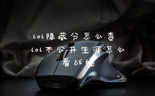lol隐藏分怎么查 lol不公开生涯怎么看战绩