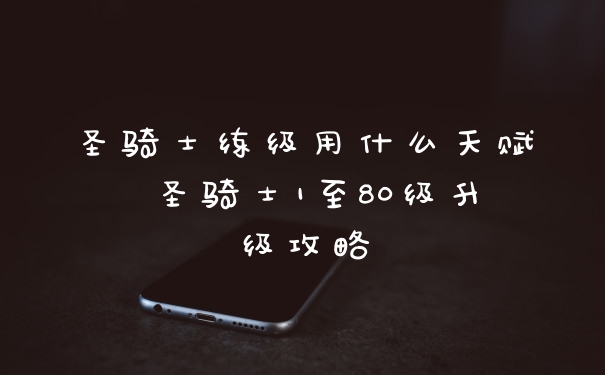 圣骑士练级用什么天赋 圣骑士1至80级升级攻略