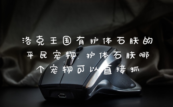 洛克王国有护体石肤的平民宠物 护体石肤哪个宠物可以直接抓