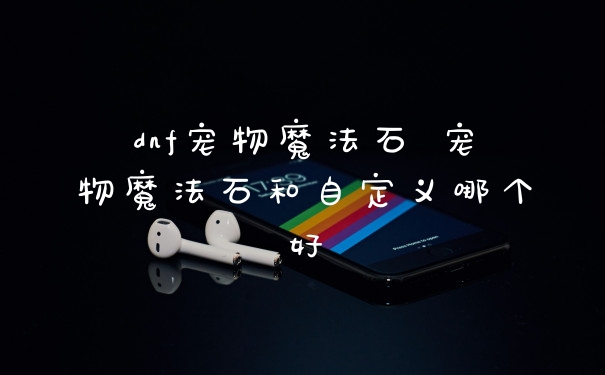 dnf宠物魔法石 宠物魔法石和自定义哪个好