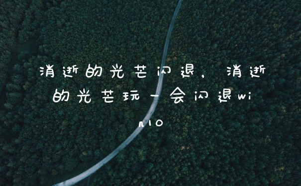 消逝的光芒闪退，消逝的光芒玩一会闪退win10