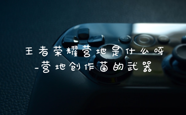 王者荣耀营地是什么呀_营地创作菌的武器