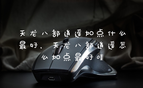 天龙八部逍遥加点什么最好，天龙八部逍遥怎么加点最好哇