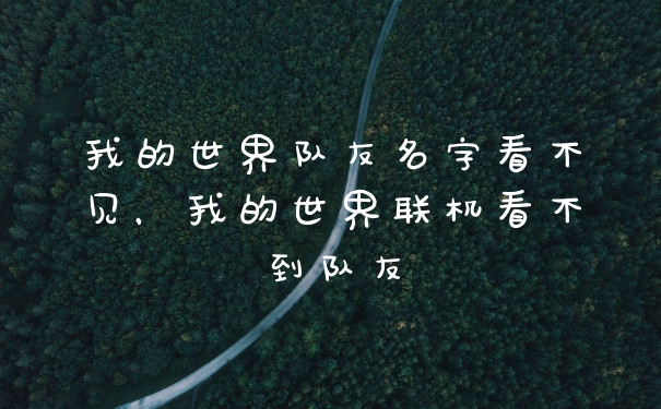 我的世界队友名字看不见，我的世界联机看不到队友