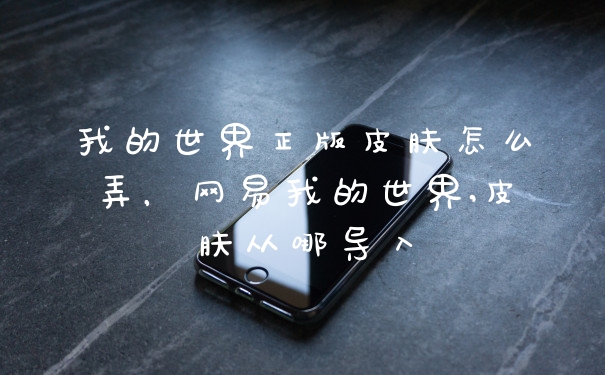 我的世界正版皮肤怎么弄，网易我的世界,皮肤从哪导入