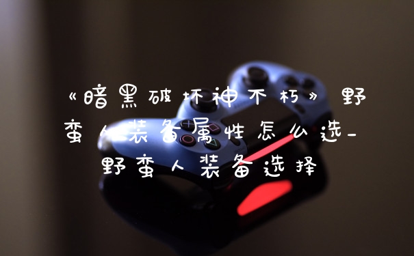 《暗黑破坏神不朽》野蛮人装备属性怎么选_野蛮人装备选择