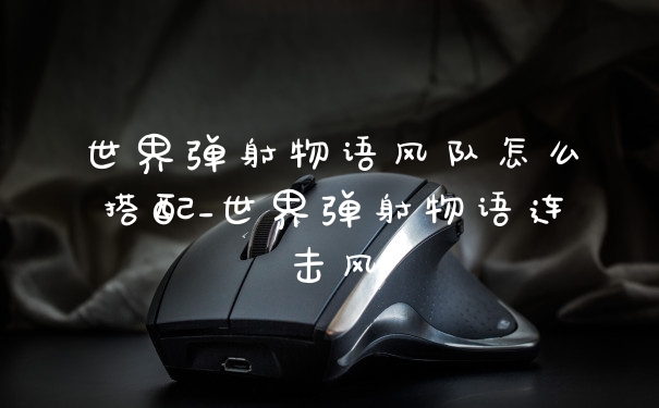 世界弹射物语风队怎么搭配_世界弹射物语连击风