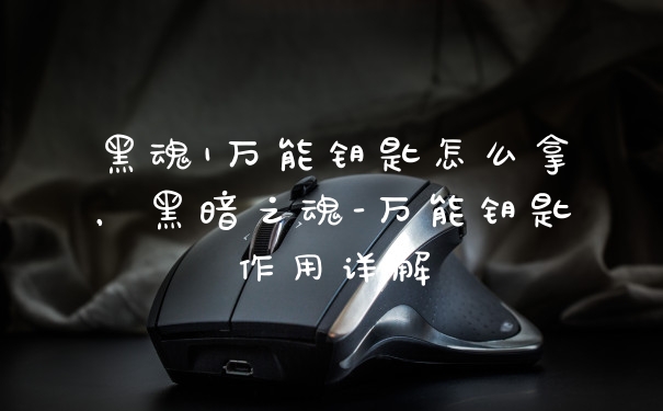 黑魂1万能钥匙怎么拿，黑暗之魂-万能钥匙作用详解