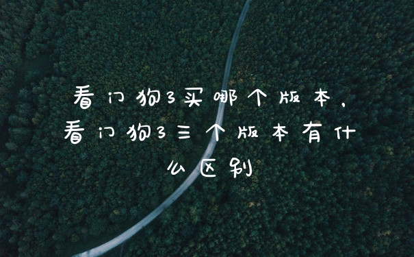 看门狗3买哪个版本，看门狗3三个版本有什么区别