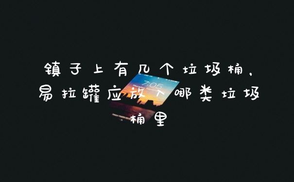 镇子上有几个垃圾桶，易拉罐应放入哪类垃圾桶里
