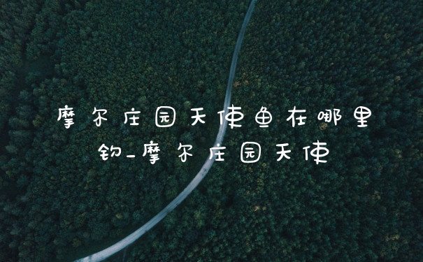 摩尔庄园天使鱼在哪里钓_摩尔庄园天使