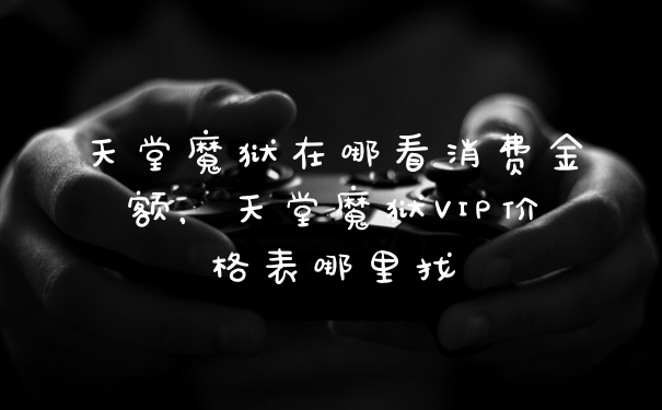 天堂魔狱在哪看消费金额,天堂魔狱VIP价格表哪里找