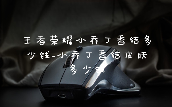 王者荣耀小乔丁香结多少钱_小乔丁香结皮肤多少钱